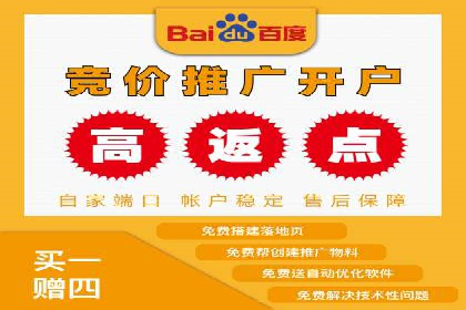 竞价广告的投放技巧与网络推广的实践